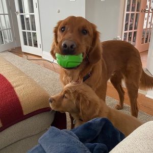 Meet your Posher, Heather